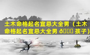 土木命格起名宜忌大全男（土木命格起名宜忌大全男 🐛 孩子）